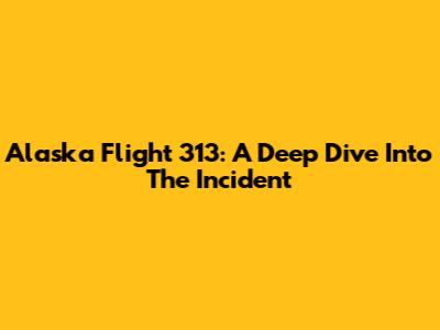 Alaska Flight 313: A Deep Dive Into The Incident