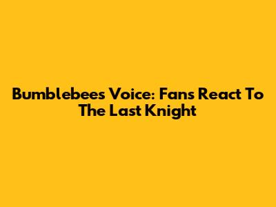 Bumblebee's Voice: Fans React To The Last Knight