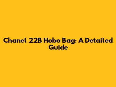 Chanel 22B Hobo Bag: A Detailed Guide
