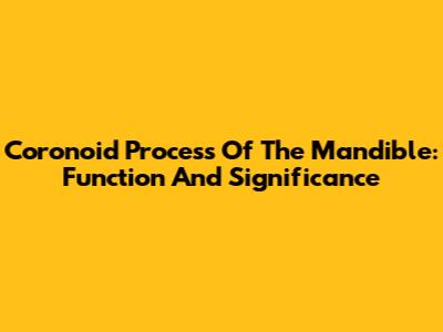 Coronoid Process Of The Mandible: Function And Significance