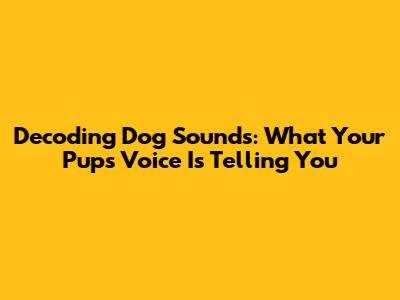 Decoding Dog Sounds: What Your Pup's Voice Is Telling You
