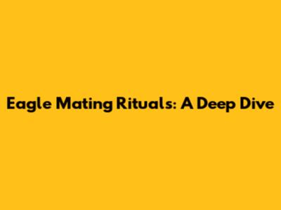 Eagle Mating Rituals: A Deep Dive