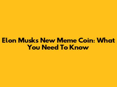 Elon Musk's New Meme Coin: What You Need To Know