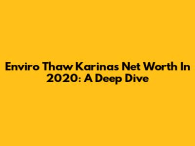 Enviro Thaw Karina's Net Worth In 2020: A Deep Dive