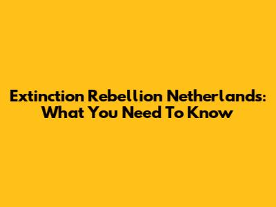 Extinction Rebellion Netherlands: What You Need To Know