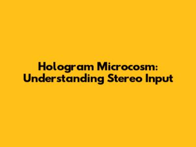 Hologram Microcosm: Understanding Stereo Input