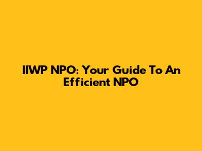 IIWP NPO: Your Guide To An Efficient NPO