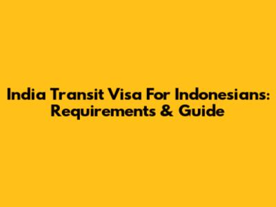 India Transit Visa For Indonesians: Requirements & Guide
