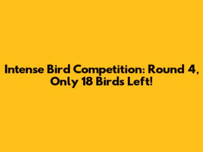 Intense Bird Competition: Round 4, Only 18 Birds Left!