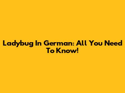 Ladybug In German: All You Need To Know!