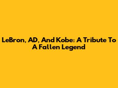 LeBron, AD, And Kobe: A Tribute To A Fallen Legend