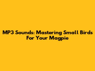 MP3 Sounds: Mastering Small Birds For Your Magpie