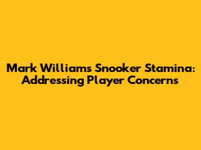 Mark Williams' Snooker Stamina: Addressing Player Concerns