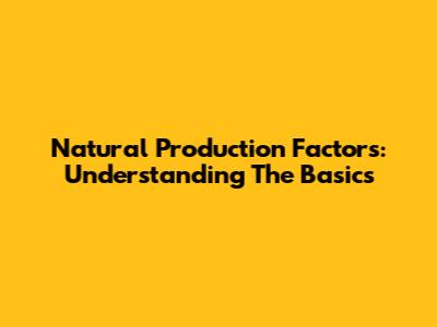 Natural Production Factors: Understanding The Basics