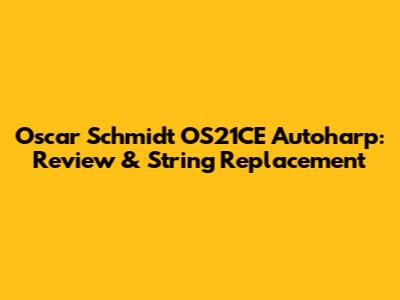 Oscar Schmidt OS21CE Autoharp: Review & String Replacement