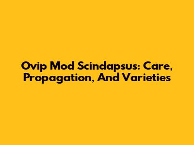 Ovip Mod Scindapsus: Care, Propagation, And Varieties