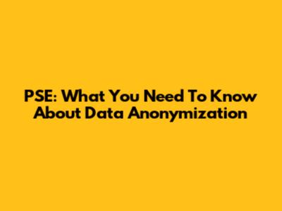 PSE: What You Need To Know About Data Anonymization