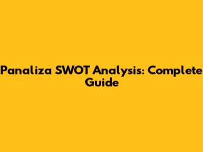 Panaliza SWOT Analysis: Complete Guide