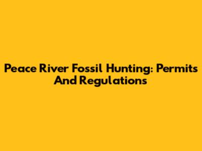 Peace River Fossil Hunting: Permits And Regulations