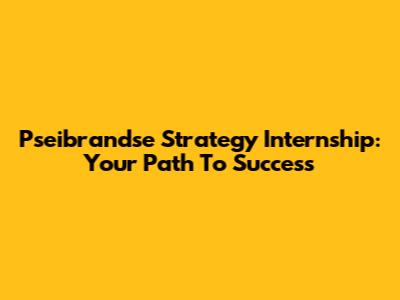 Pseibrandse Strategy Internship: Your Path To Success