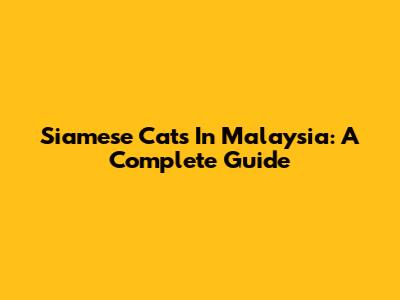 Siamese Cats In Malaysia: A Complete Guide