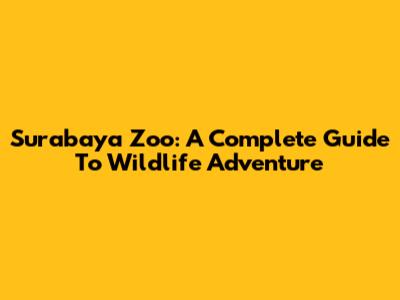 Surabaya Zoo: A Complete Guide To Wildlife Adventure