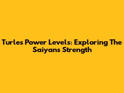 Turles Power Levels: Exploring The Saiyan's Strength