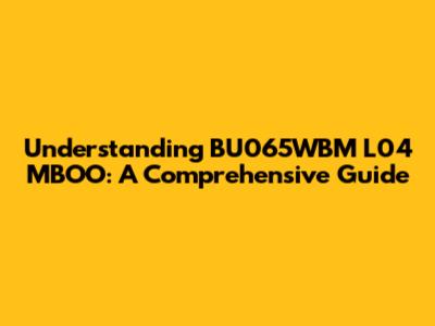 Understanding BU065WBM L04 MBOO: A Comprehensive Guide